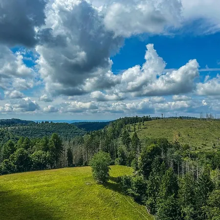 Muggel Willkommen - Harz-auszeit Im Zauberquartier Braunlage